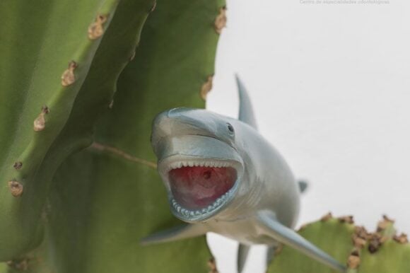 Los “dientes de tiburón”: ¿Qué son y cómo solucionarlos?